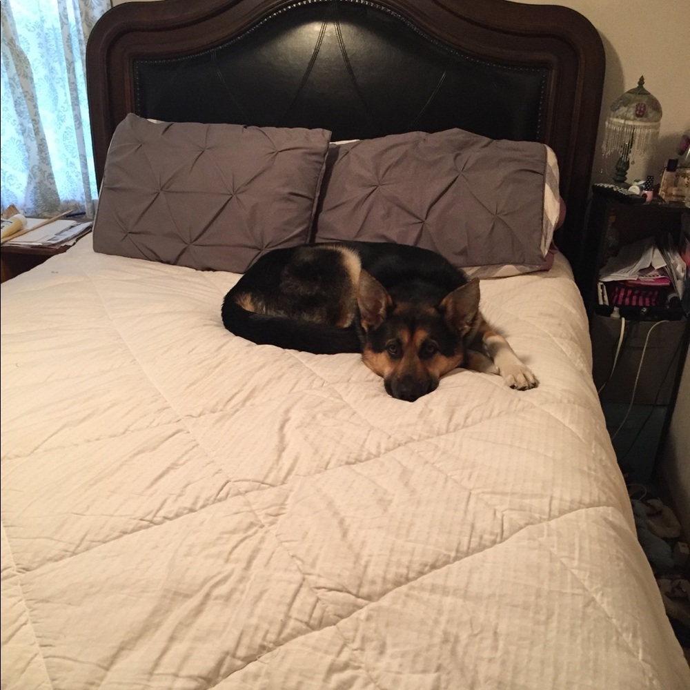 Meet your Posher, Madison